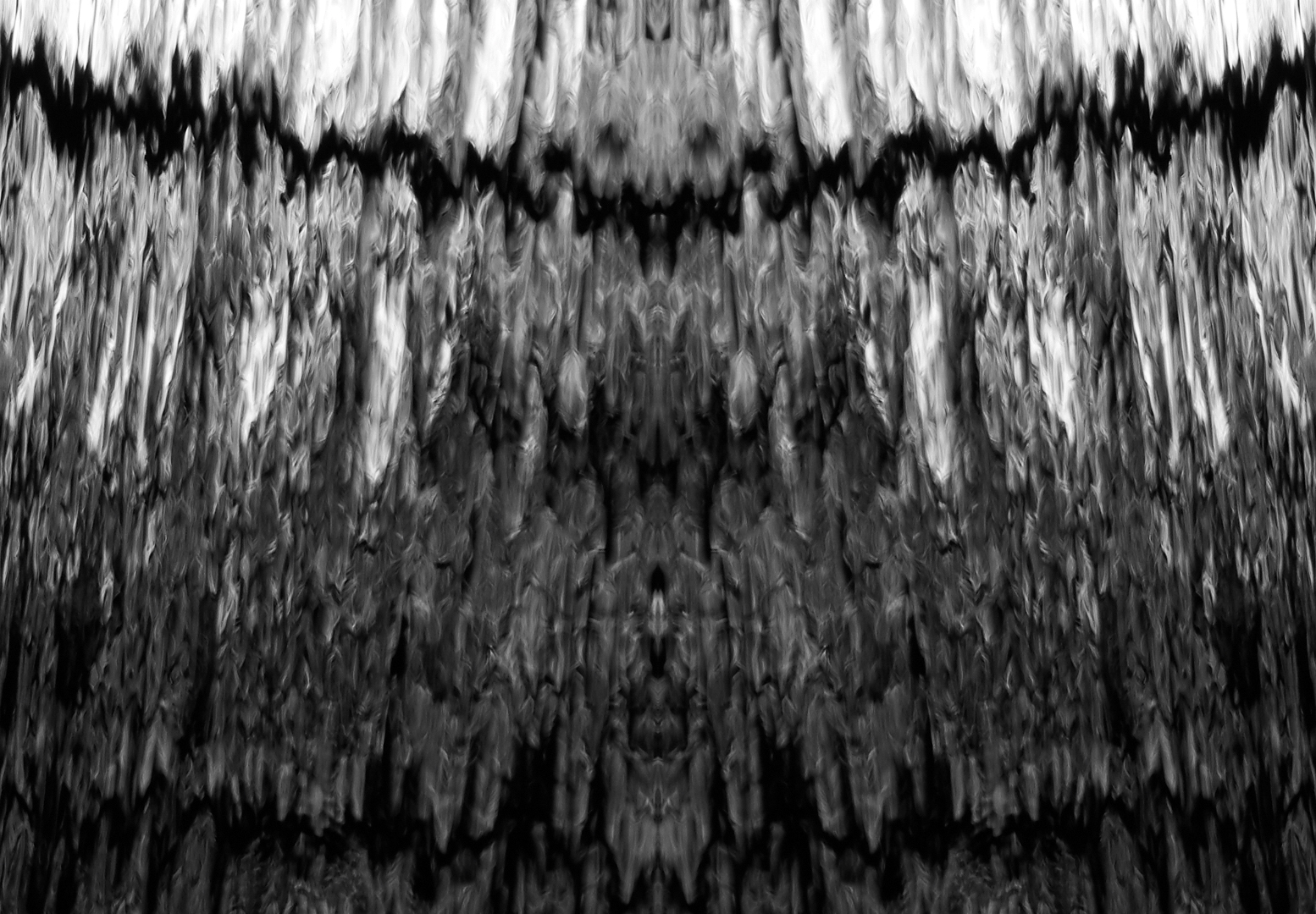 symetria2