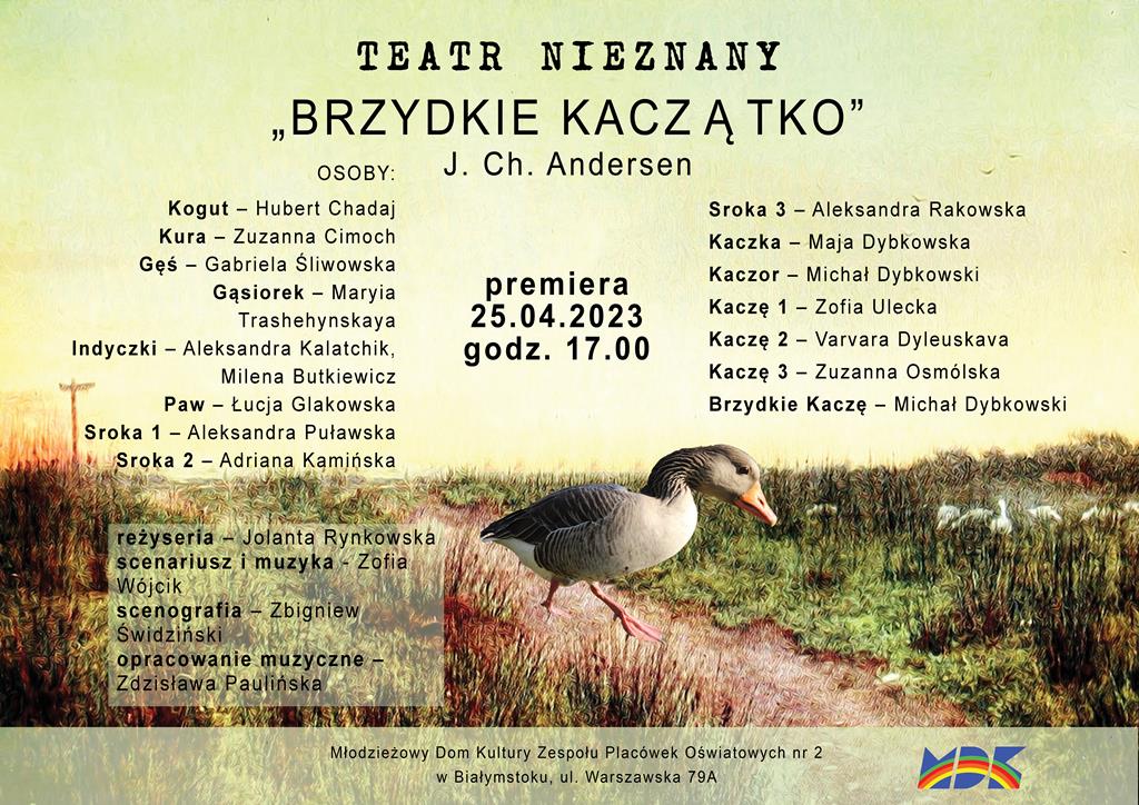 202304 brzydkie kaczatko 3