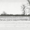 II nagroda — Krzysztof Kadłubowski — MDK Białystok za tryptyk „Pejzaż nadbiebrzański” 
