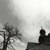 I Nagroda do lat 15 - Janusz Nowacki, Poznań, za całość prac