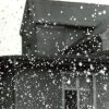 II Nagroda do lat 15 - Arkadiusz Sienkiewicz, Foto-Klub-XTL Świnoujście, za całość prac