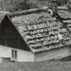 Wyróżnienie do lat 15 - Monika Czaja, SP 3 Tarnów, za zdjęcie „Chatka”