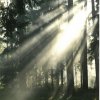 II Nagroda do lat 21 - Radosław Dobrowolski, Supraśl, za całość prac