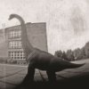 III Nagroda do lat 15, Jan Skiba, Młodzieżowy Dom Kultury w Rzeszowie - za zestaw zdjęć „Inwazja”