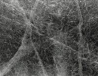 Wyróżnienie do lat 21 - Paweł Ramel, MDK Augustów, za całość prac