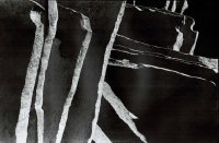 II nagroda do lat 21 - Paulina Bednarowicz, MDK Bolesławiec, za całość prac 