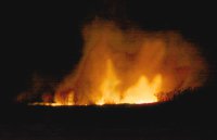 Wyróżnienie do lat 16 - Bernard Gładysz, VII LO Białystok, za zestaw zdjęć pt. „Pożar” 