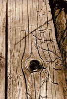 I nagroda do lat 21 - Ewa Dąbrowska, I LO Hajnówka, za całość prac 