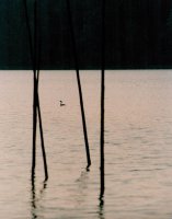 I nagroda do lat 21 - Artur Hałagan, Tarnowskie Góry, za całość prac 