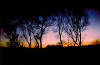 Wyróżnienie do lat 16 - Bernard Gładysz, VII LO Białystok, za zestaw zdjęć pt. „Pożar” 