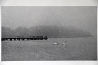 Nagroda Klubu Fotograficznego „System 5”przy MDK Białystok - Grzegorz Sokołowski, MDK Olsztyn, za zdjęcia pt. „XXX” i „XXXXX”