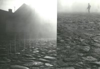 Wyróżnienie do lat 21 - Paweł Bardzki - MDK Warszawa Wola - za „Tryptyk”