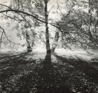 Dyplom Honorowy Klubu Fotograficznego „SYSTEM-5” — Jędrzej Slaby — Wrocław za pracę „Raj”