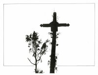 Dyplom KF ,,System 5” - Marcin Gałuszka, Rzeszów, za pracę „Wiosna”