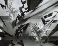 I Nagroda do lat 15 - Adam Rokosz, Sp. C.E. Racibórz, za całość prac