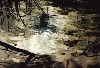 I nagroda do lat 21 - Ewa Dąbrowska, I LO Hajnówka, za całość prac 