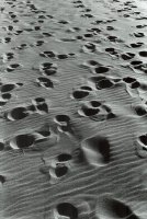 Grand Prix - Maciej Frydrysiak, Koszalin (ASP Poznań) za całość prac