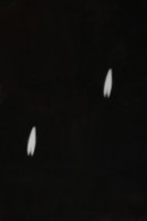 Wyróżnienie do lat 21 - Piotr Jagiełłowicz, MDK Gorzów Wielkopolski, za całość prac