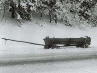 II nagroda do lat 15 - Kamila Safrończyk, MDK Białystok, za całość prac 