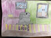 19. Królik Lucuś - Maja O.