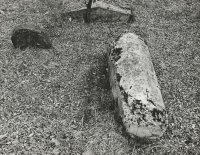 Wyróżnienie do lat 21 - Maciej Ostaszewski - ZSB-G - za całość nadesłanych prac