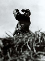 II nagroda do lat 15 - Paweł Świdziński, MDK Białystok, za całość prac 