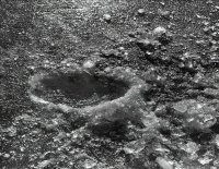 Wyróżnienie do lat 21 - Paweł Ramel, MDK Augustów, za całość prac