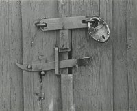 Wyróżnienie — Zbigniew Woźniak — MDK Białystok za prace „Koniec” i „O zmierzchu”