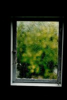 II nagroda do lat 16 - Joanna Cyrta, III LO Białystok, za całość prac 