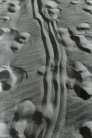 Grand Prix - Maciej Frydrysiak, Koszalin (ASP Poznań) za całość prac