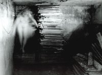 Wyróżnienie do lat 21 - Marcin Bikowski, MDK Zamość, za zestaw zdjęć pt. „Cicho...” 