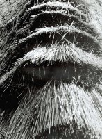 Nagroda Redakcji Magazynu „POZYTYW” - Anna Tomaszuk, MDK Białystok, za zdjęcie pt. „Strzecha” 