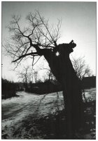 I Nagroda do lat 15 - Marcin Kowalik, SP 25 Lublin, za całość prac