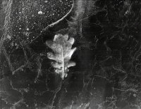 Wyróżnienie do lat 21 - Paweł Ramel, MDK Augustów, za całość prac