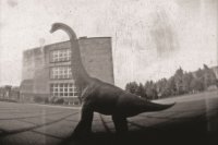 III Nagroda do lat 15, Jan Skiba, Młodzieżowy Dom Kultury w Rzeszowie - za zestaw zdjęć „Inwazja”