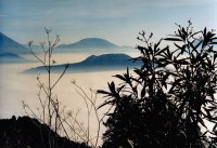 Nagroda Redakcji „FOTO” - Wojciech Bruzda, Gimnazjum o.o. Pijarów Kraków, za zdjęcia pt. „Widok z Monte Cassino”, „Paweł” 