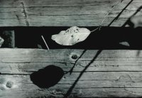 I nagroda do lat 21 - Ewa Dąbrowska, I LO Hajnówka, za całość prac 