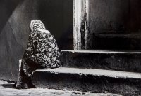 Nagroda KF „System 5” - Marcin Kowalik, KF „LX” Lublin, za całość prac