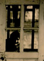 III nagroda do lat 16 - Elwira Horosz, VII LO Białystok, za zdjęcie pt. „Starość” 