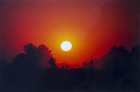 Nagroda Okręgu Północno - Wschodniego ZPAF - Marcin Oliva Soto, ZSŻiW Jelenia Góra, za całość prac 