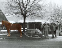 II nagroda do lat 15 - Kamila Safrończyk, MDK Białystok, za całość prac 