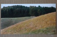 II nagroda do lat 15 - Kondrad Jędrosz, SP nr 315 Warszawa, za zdjęcia pt. „Wieczór”, „Okiennice” i „Łąki”