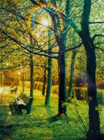 Nagroda specjalna firmy „Kodak Polska” za najlepsze zdjęcia wykonane na papierze KODAK - Mariusz Frączek, ZSZ Jasło, za zdjęcia: „Ławki w nocy”, „Alejka” 