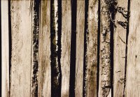 I nagroda do lat 21 - Ewa Dąbrowska, I LO Hajnówka, za całość prac 