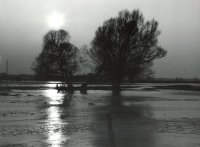 III Nagroda do lat 21 - Radosław Gitkiewicz, MDK Białystok, za całość prac