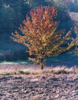 Nagroda „Classic Studio” - Bartłomiej Romańczuk, KF „LX” Lublin, za całość prac