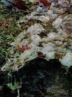 I nagroda do lat 15 - Adam Rokosz, SSP, RTO „Szkoła” Racibórz, za całość prac 