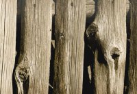 I nagroda do lat 21 - Ewa Dąbrowska, I LO Hajnówka, za całość prac 