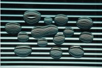 Nagroda „Classic Studio” - Maciej Frydrysiak, Koszalin (ASP Poznań), za zdjęcie pt. „Krople” 