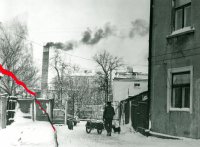 Wyróżnienie do lat 15 - Adam Ostałowski, SP Specjalna Tomaszów Mazowiecki, za całość prac